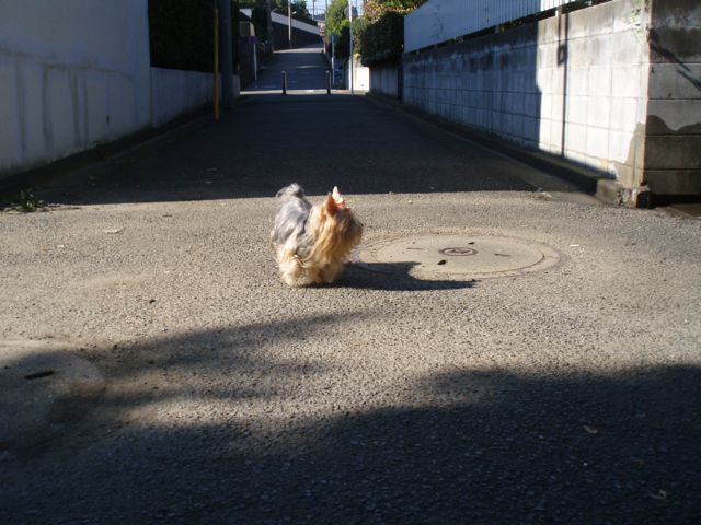 f0130894_21284748.jpg