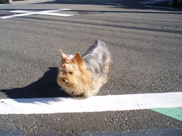 f0130894_21293525.jpg