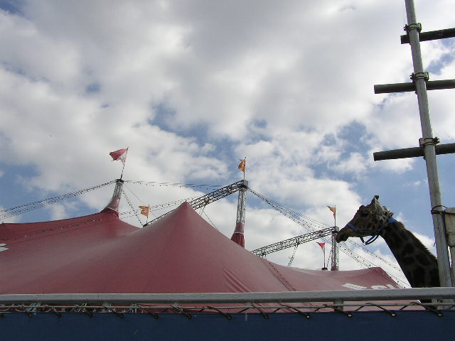 d0101103_22335653.jpg