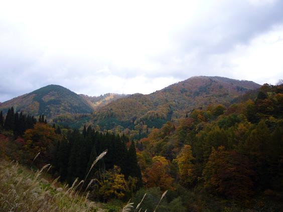 f0111308_13585036.jpg