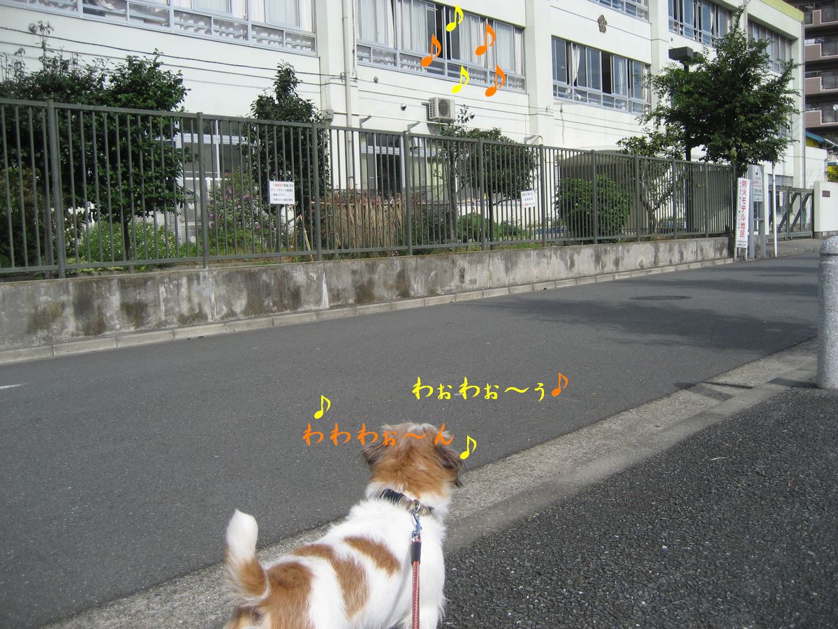 e0127409_1339233.jpg