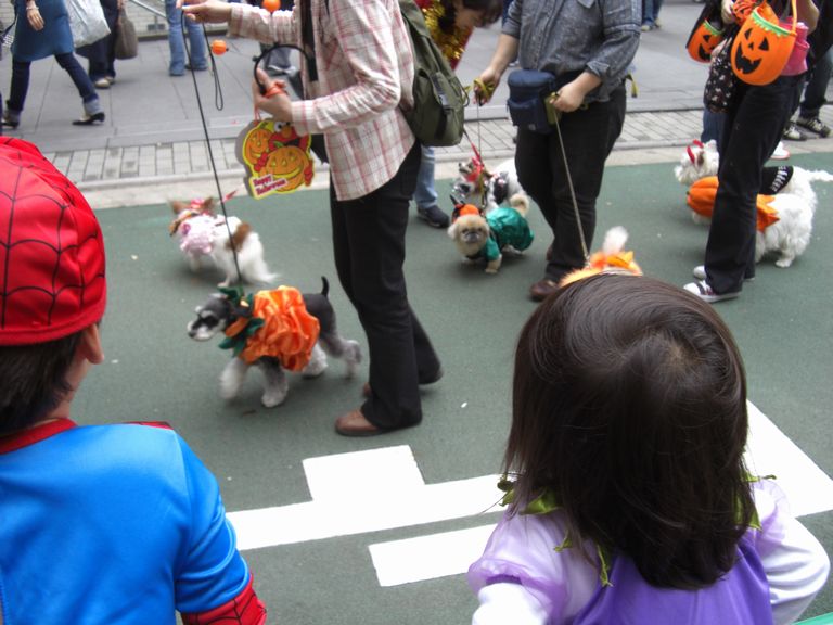 f0169509_2543744.jpg