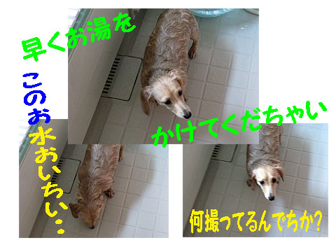 c0108112_848361.jpg