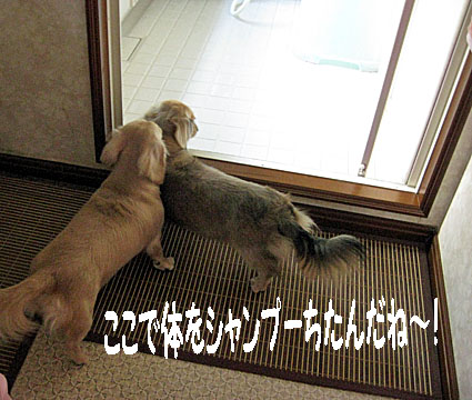 c0108112_8492088.jpg
