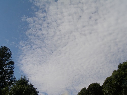 d0147812_187497.jpg