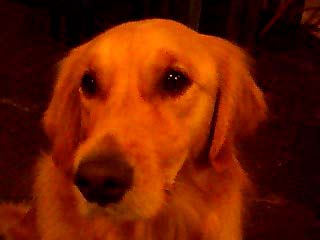 a0101715_10283279.jpg