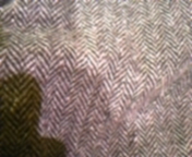 a0109715_21313456.jpg