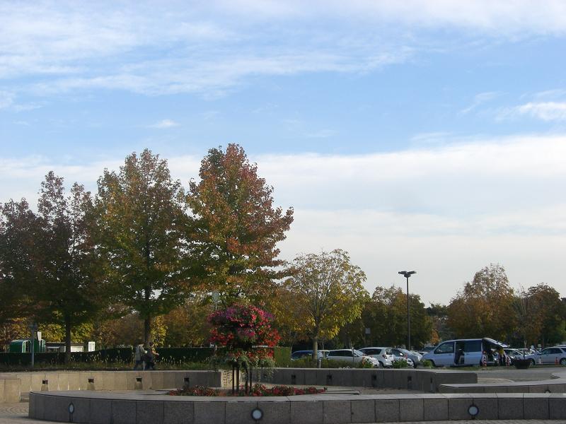 d0127716_2292835.jpg