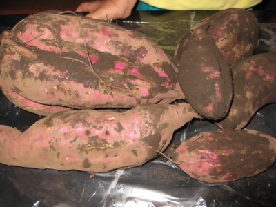 d0079721_91213.jpg