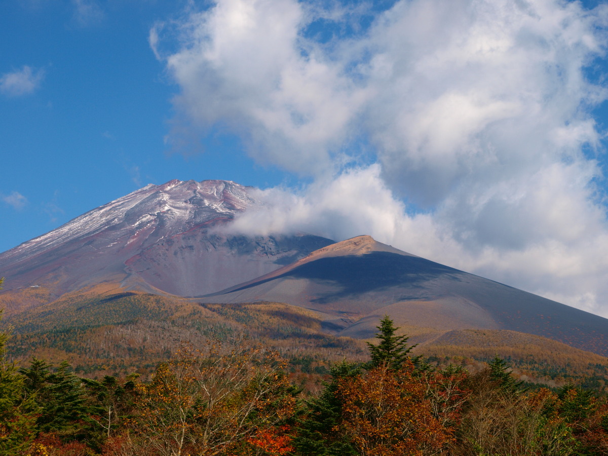 b0137723_1243740.jpg