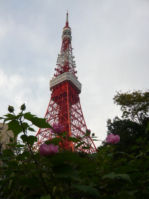 b0146123_23554279.jpg