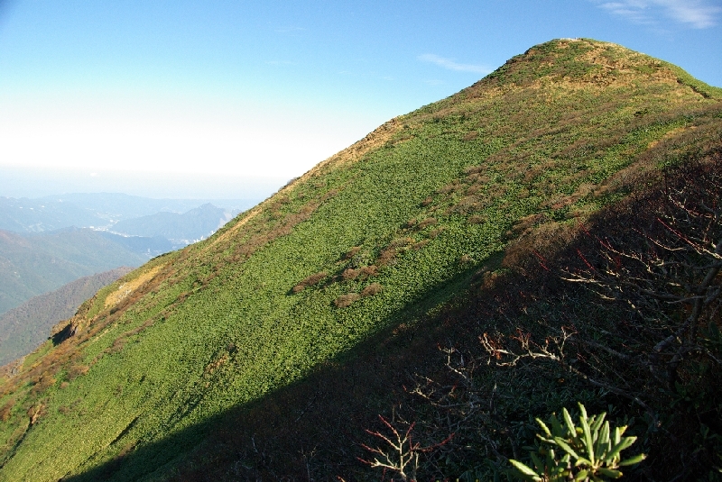 b0062024_20161784.jpg