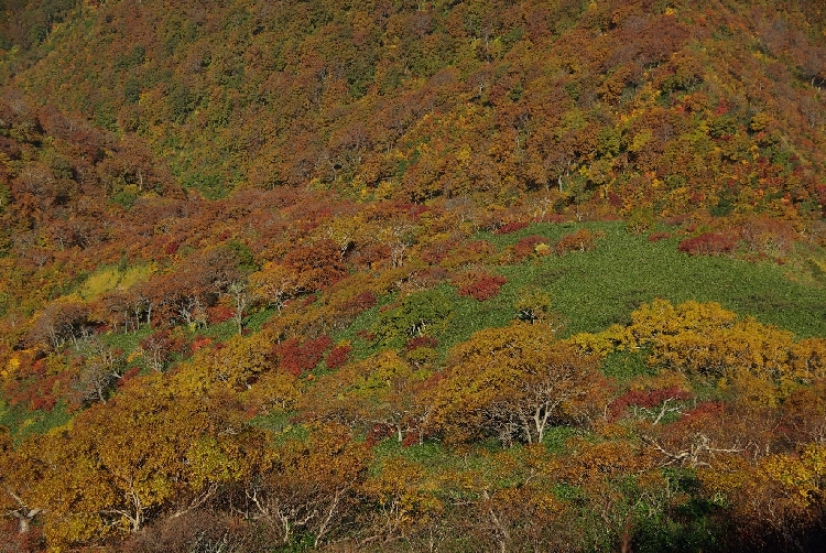 b0062024_20312566.jpg
