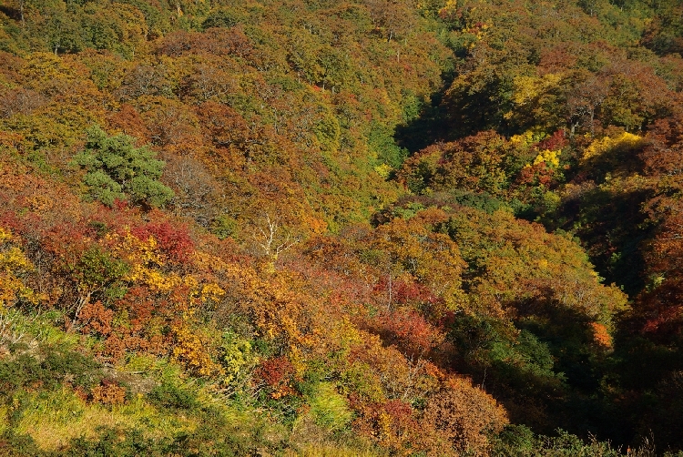 b0062024_20315760.jpg