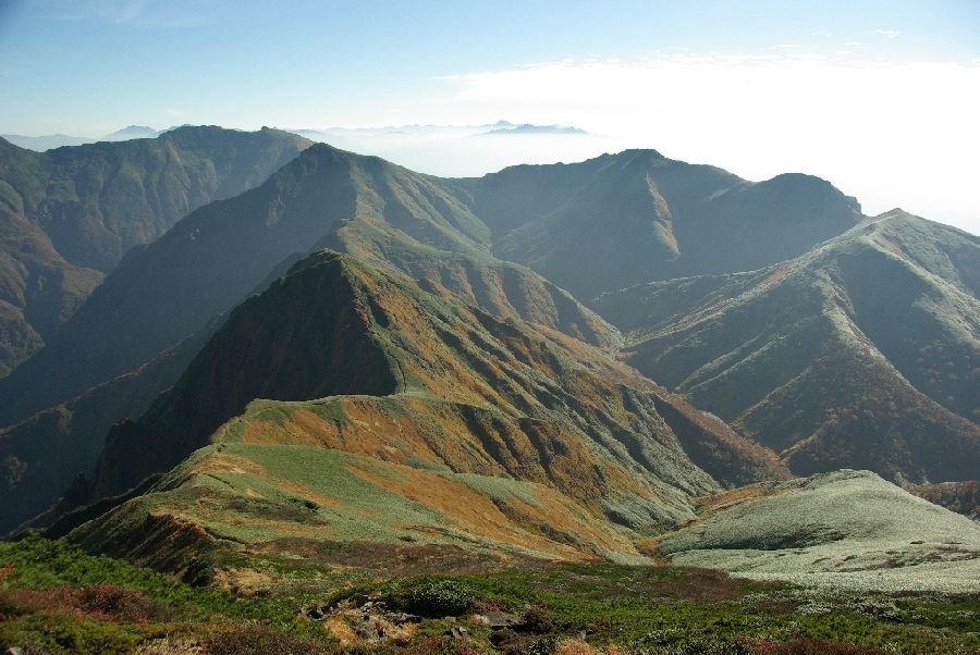 b0062024_2053866.jpg
