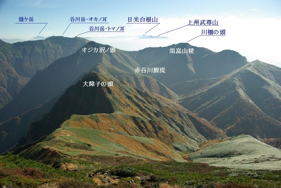 b0062024_2054881.jpg