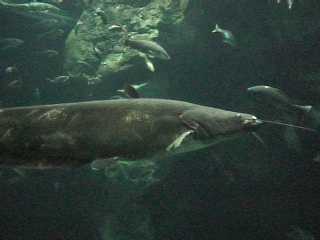 c0112826_19331436.jpg
