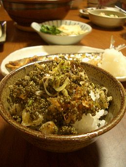 e0013727_6464755.jpg