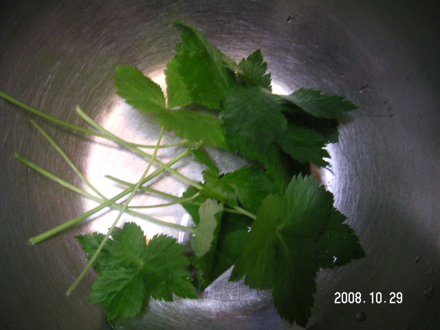 a0020929_22135194.jpg