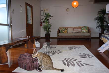 c0136933_21315147.jpg