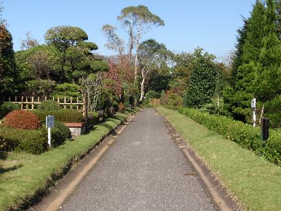 d0093936_13314538.jpg