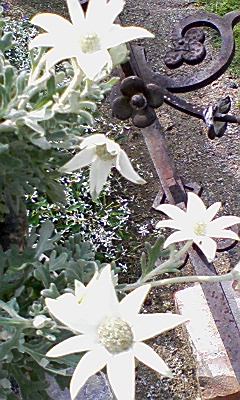 f0188237_132734.jpg