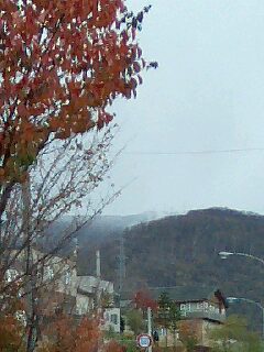 c0117239_611798.jpg
