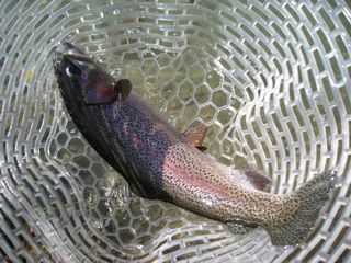f0065341_1628532.jpg