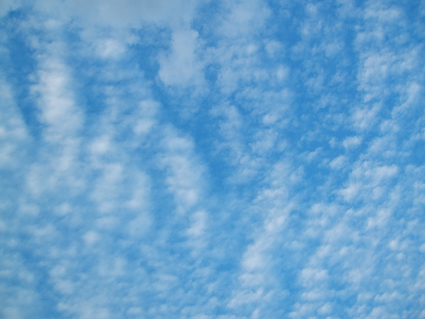 e0137345_16425895.jpg