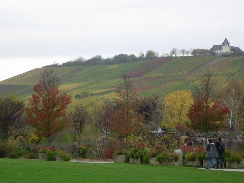 f0174549_237366.jpg