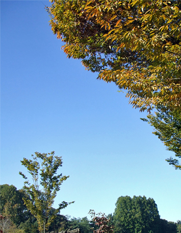 a0068151_117254.jpg