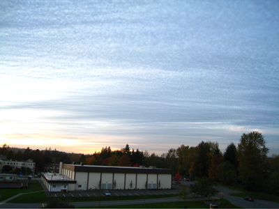 f0176953_16351288.jpg