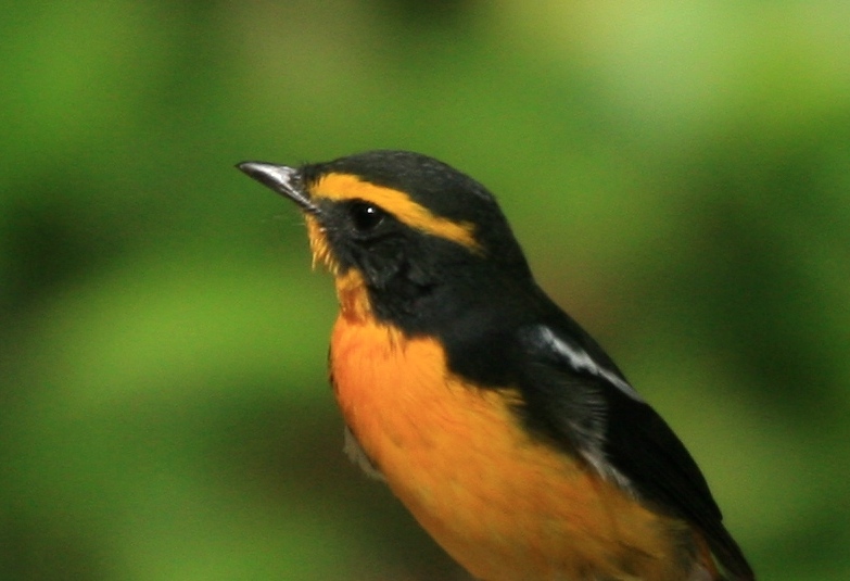 c0136654_18412547.jpg