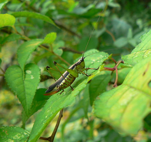 d0091754_0453344.jpg