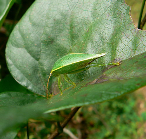d0091754_1275660.jpg