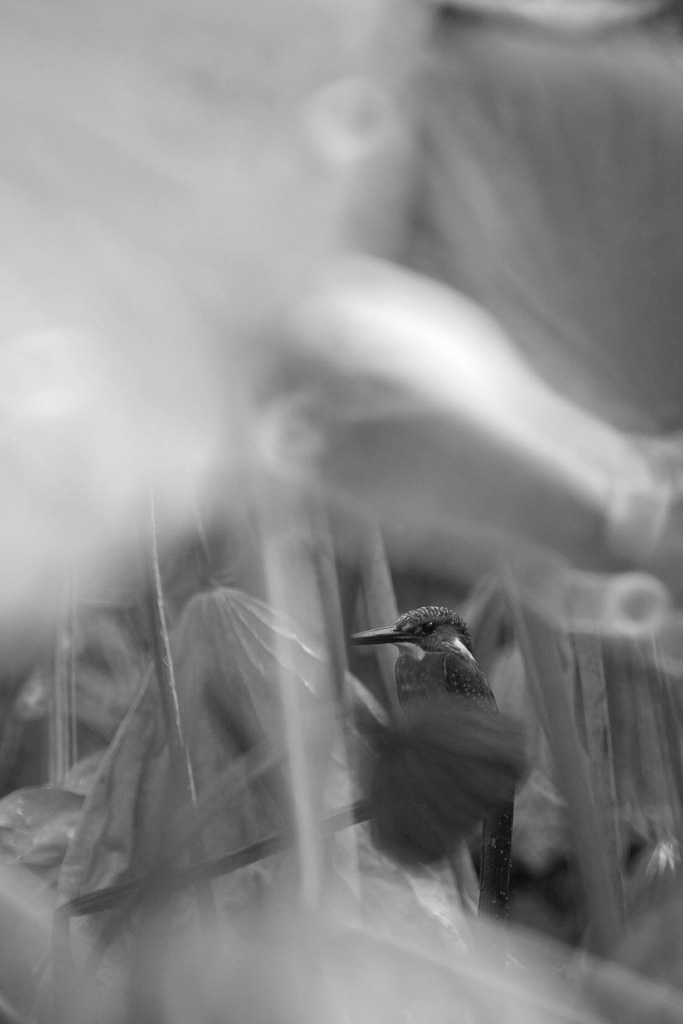 d0148060_19182677.jpg