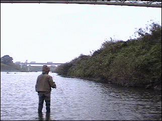 f0084561_178581.gif