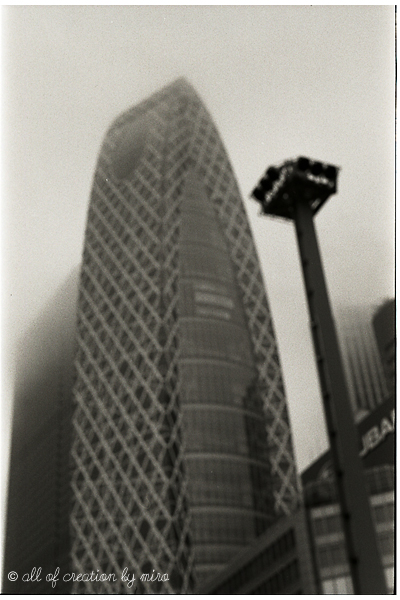 e0105665_22232447.jpg
