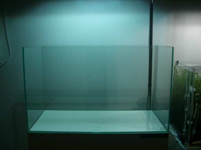 b0150868_3474451.jpg