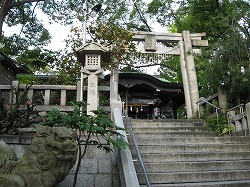 e0041168_1074159.jpg