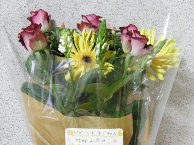 c0042869_626978.jpg