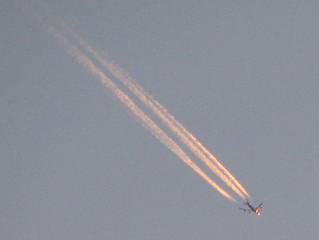 c0104371_10311167.jpg