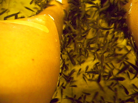a0002177_0131074.jpg