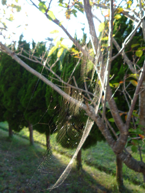 c0160778_21311658.jpg