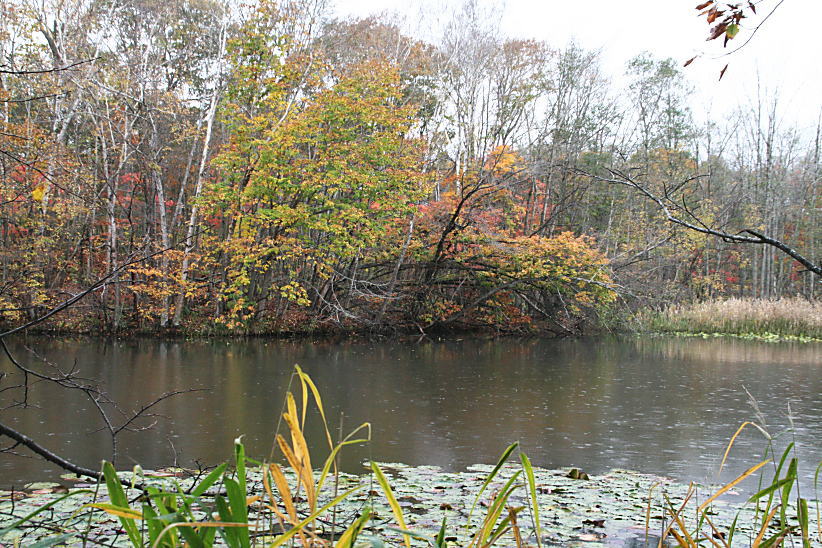 c0112479_20424624.jpg