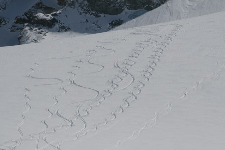 d0079579_872031.jpg