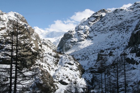 d0079579_885720.jpg