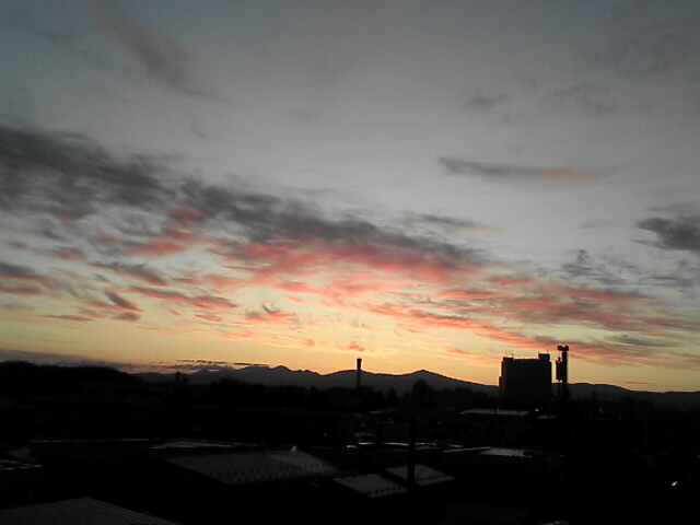 c0069380_18425264.jpg