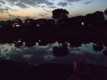 c0078480_2342575.jpg