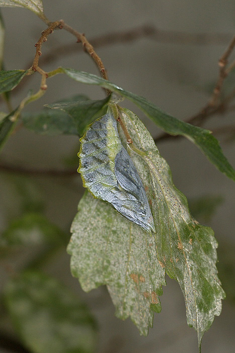 f0090680_22224862.jpg